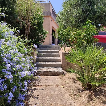 Maison Presqu'ile De Giens 빌라