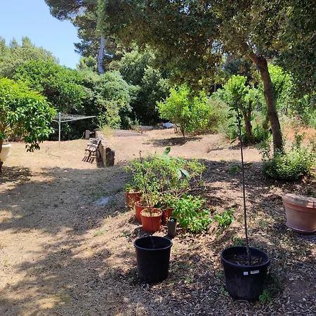 ヴィラ Maison Presqu'ile De Giens