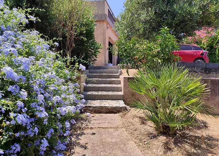 Maison Presqu'ile De Giens Villa